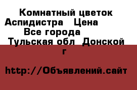 Комнатный цветок Аспидистра › Цена ­ 150 - Все города  »    . Тульская обл.,Донской г.